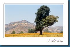 Postkarte Ethiopia.jpg